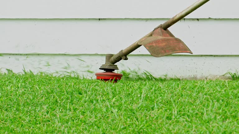 Best Lawn Pest Prevention  in Laurel Park, NC