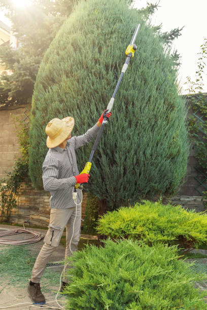 Best Commercial Tree Services  in Laurel Park, NC